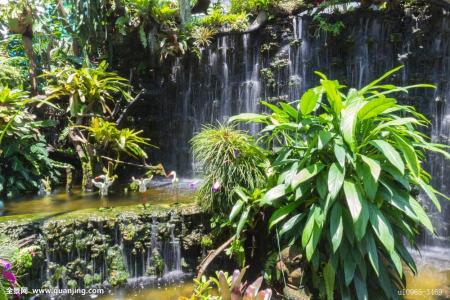 ɽۿൺִŶ:йǻ۸ۿػ